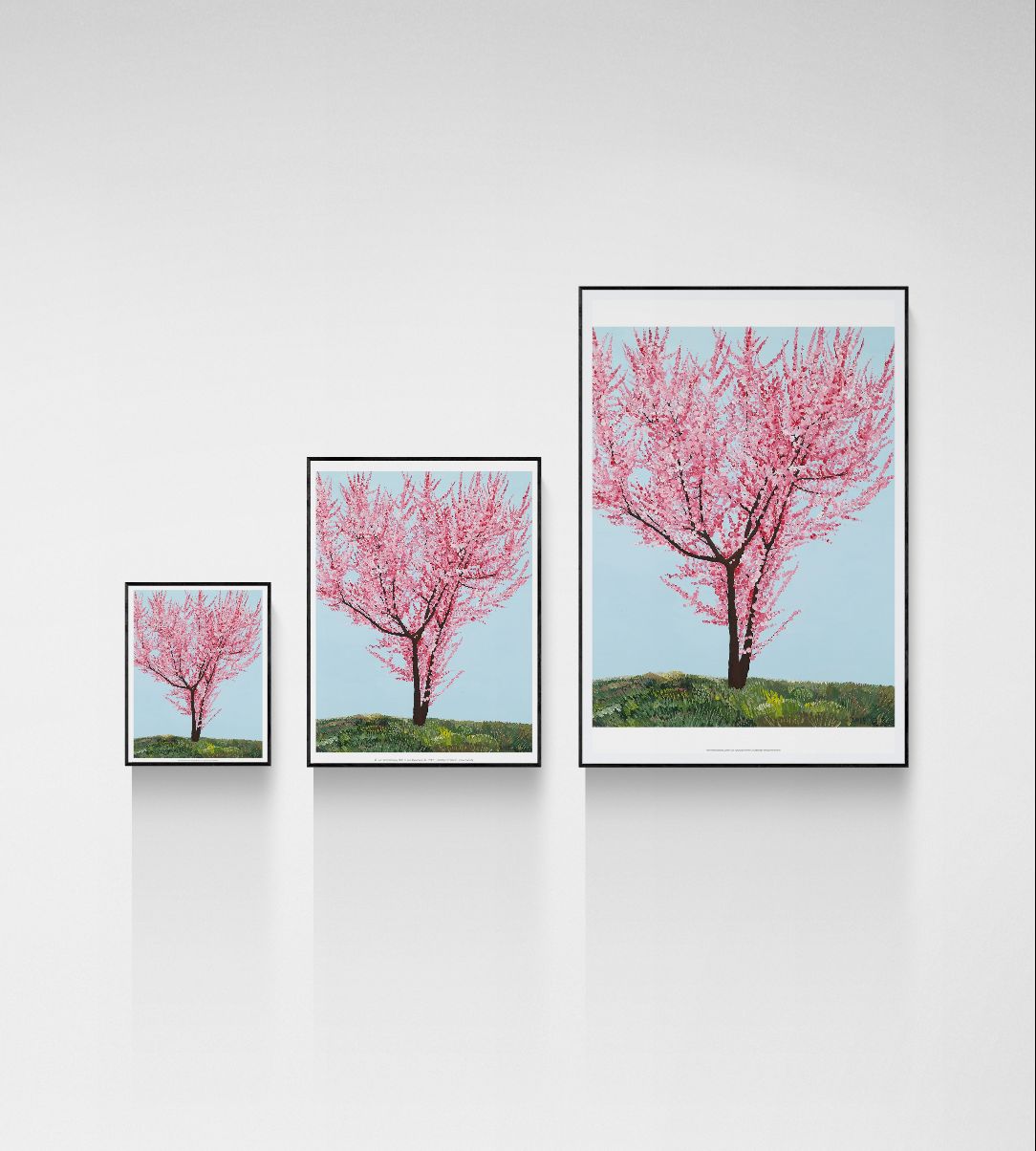 Red Plum Blossoms