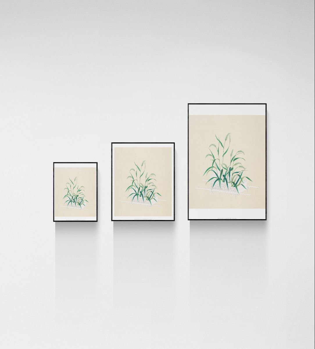 Unwanted Weeds II