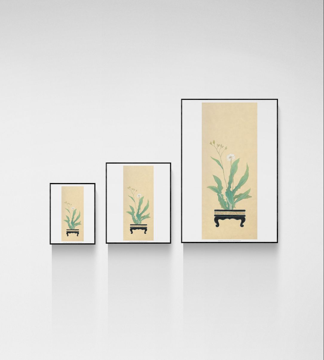 Unwanted Weeds III