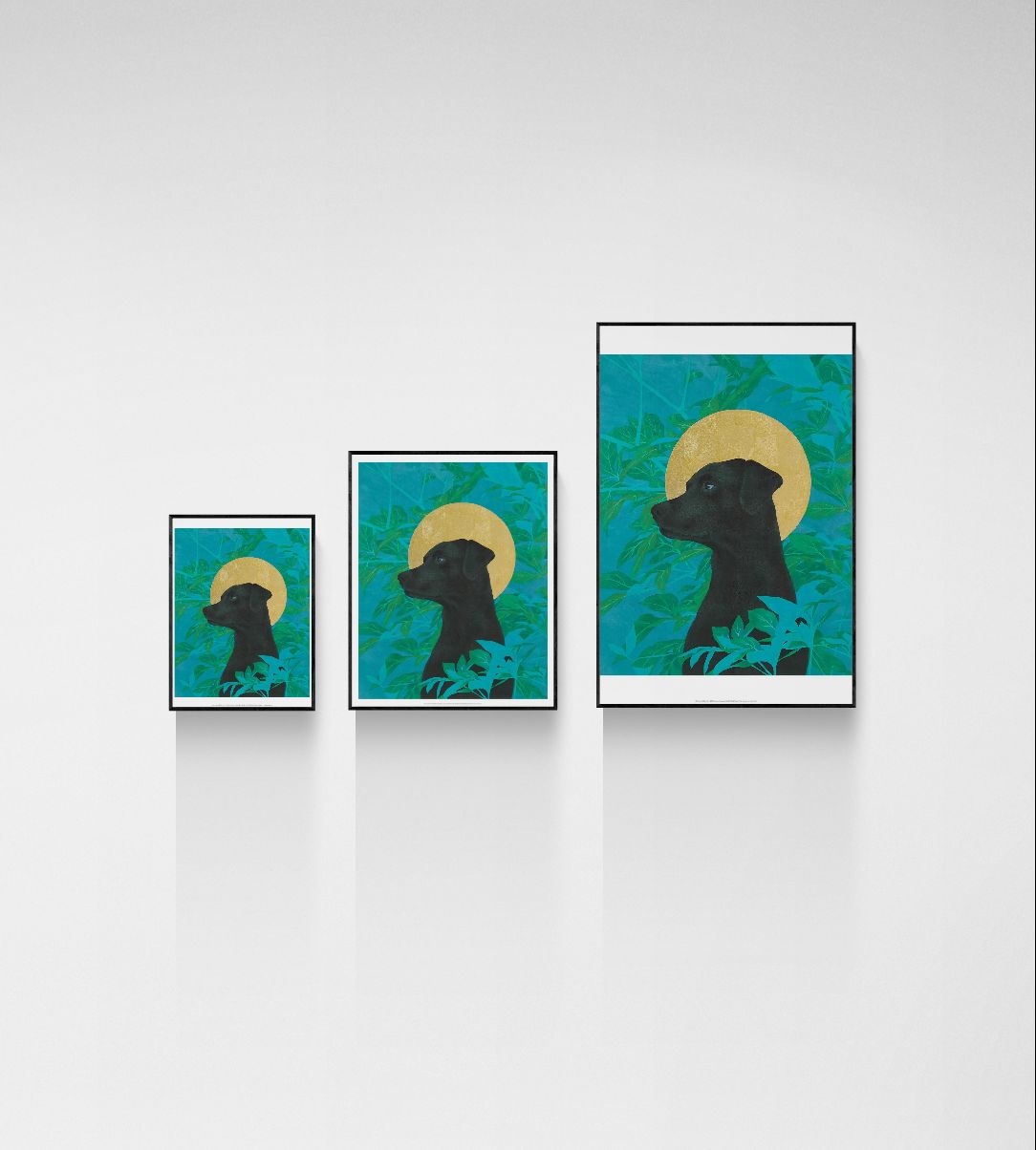 Unnamed Saint 23-1