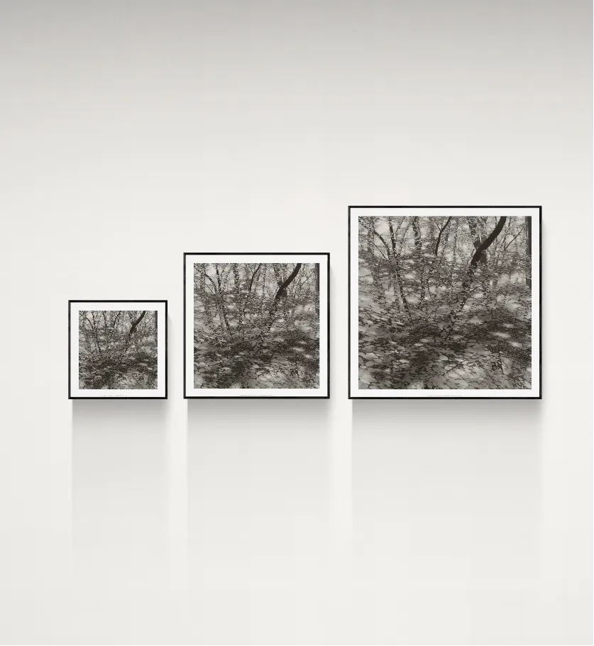 Rippling Forest