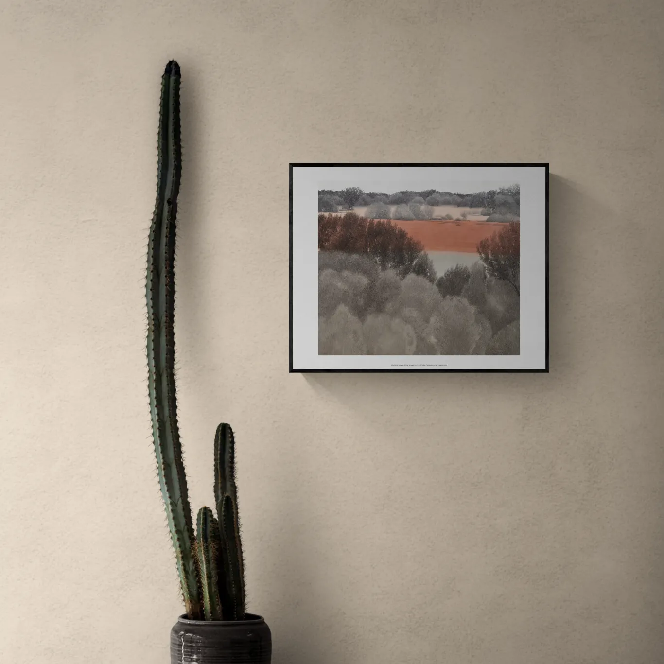 Spinifex Grassland