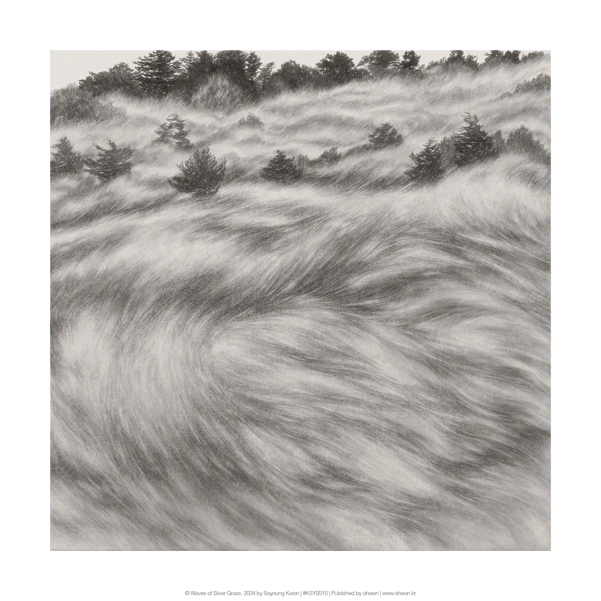 Waves of Silver Grass
