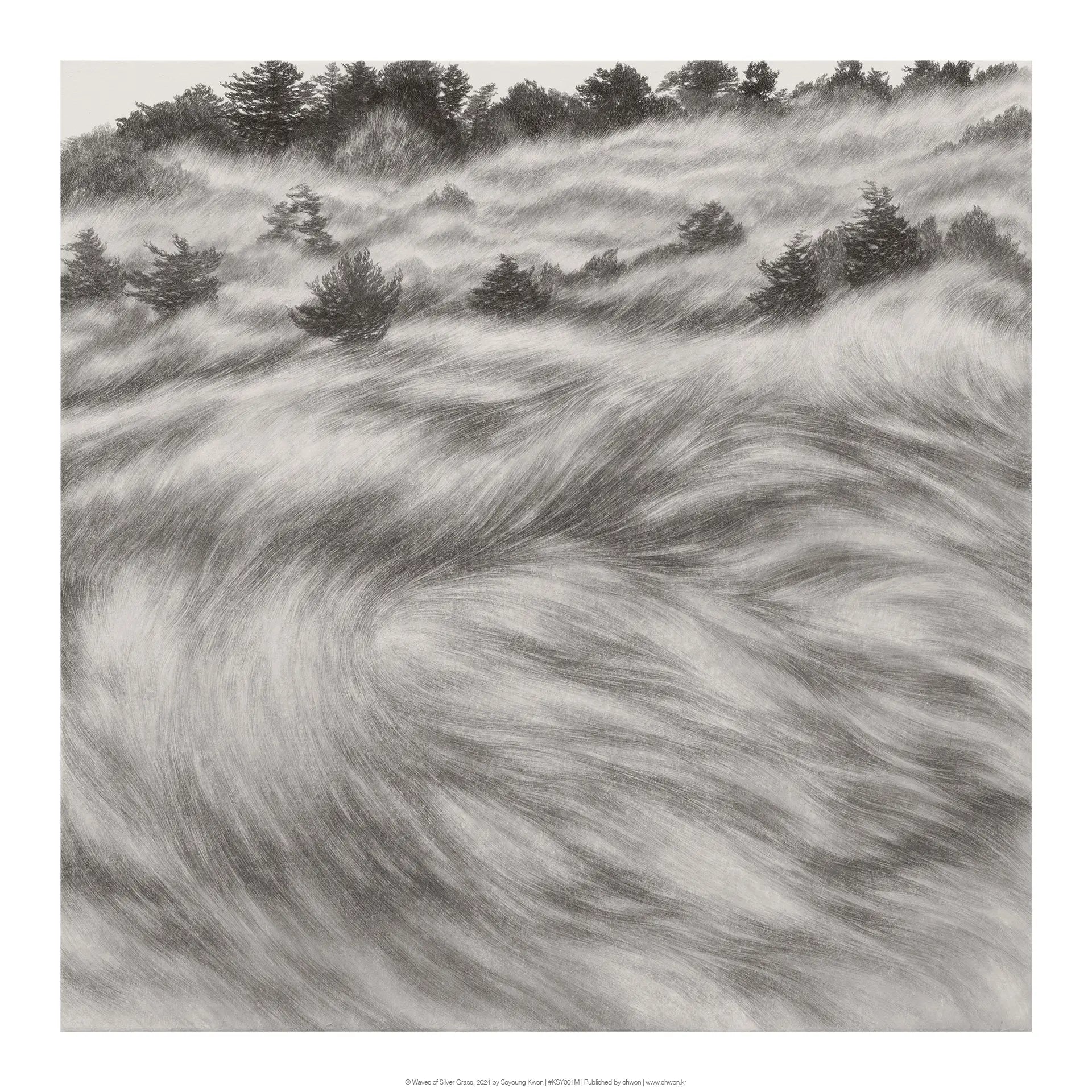 Waves of Silver Grass