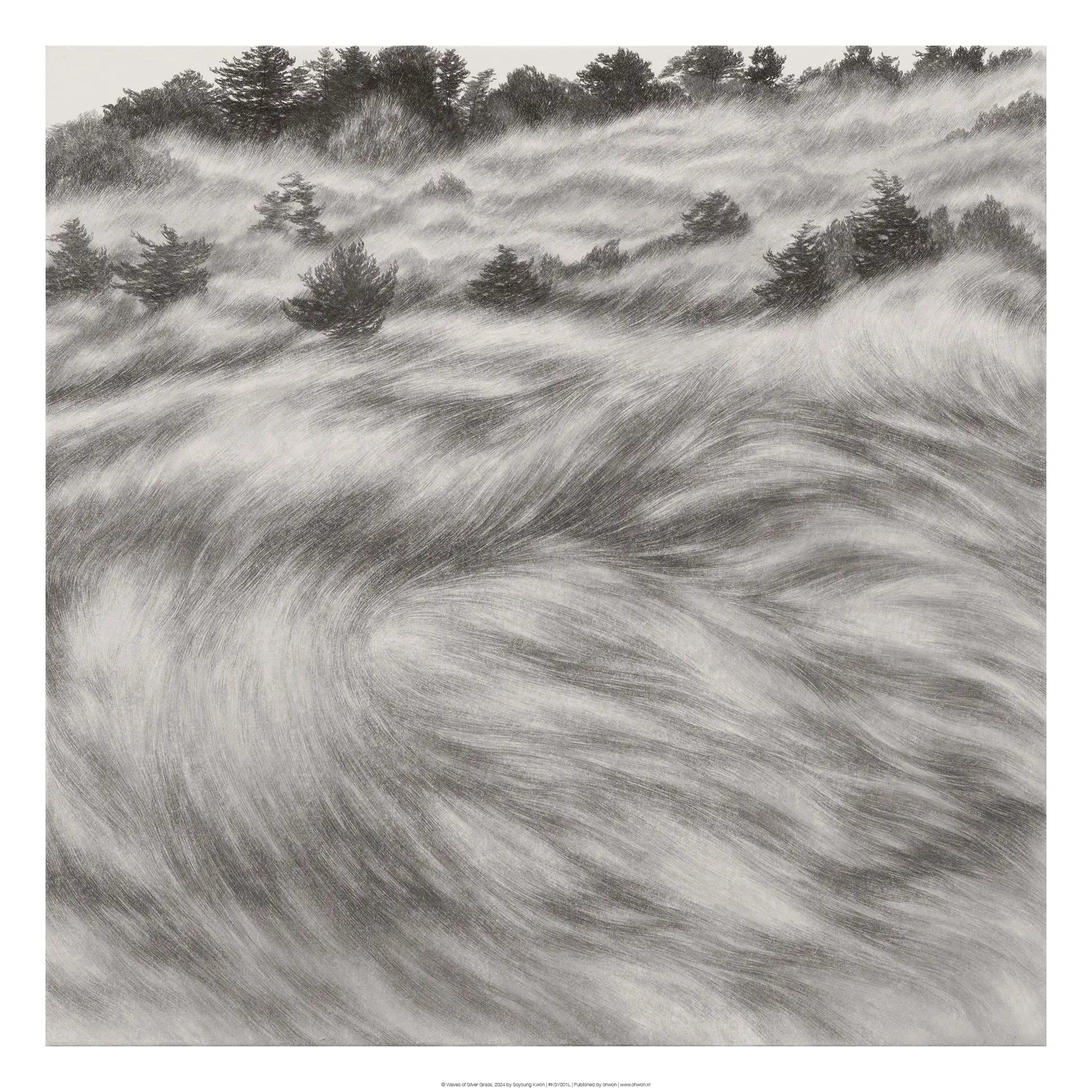 Waves of Silver Grass