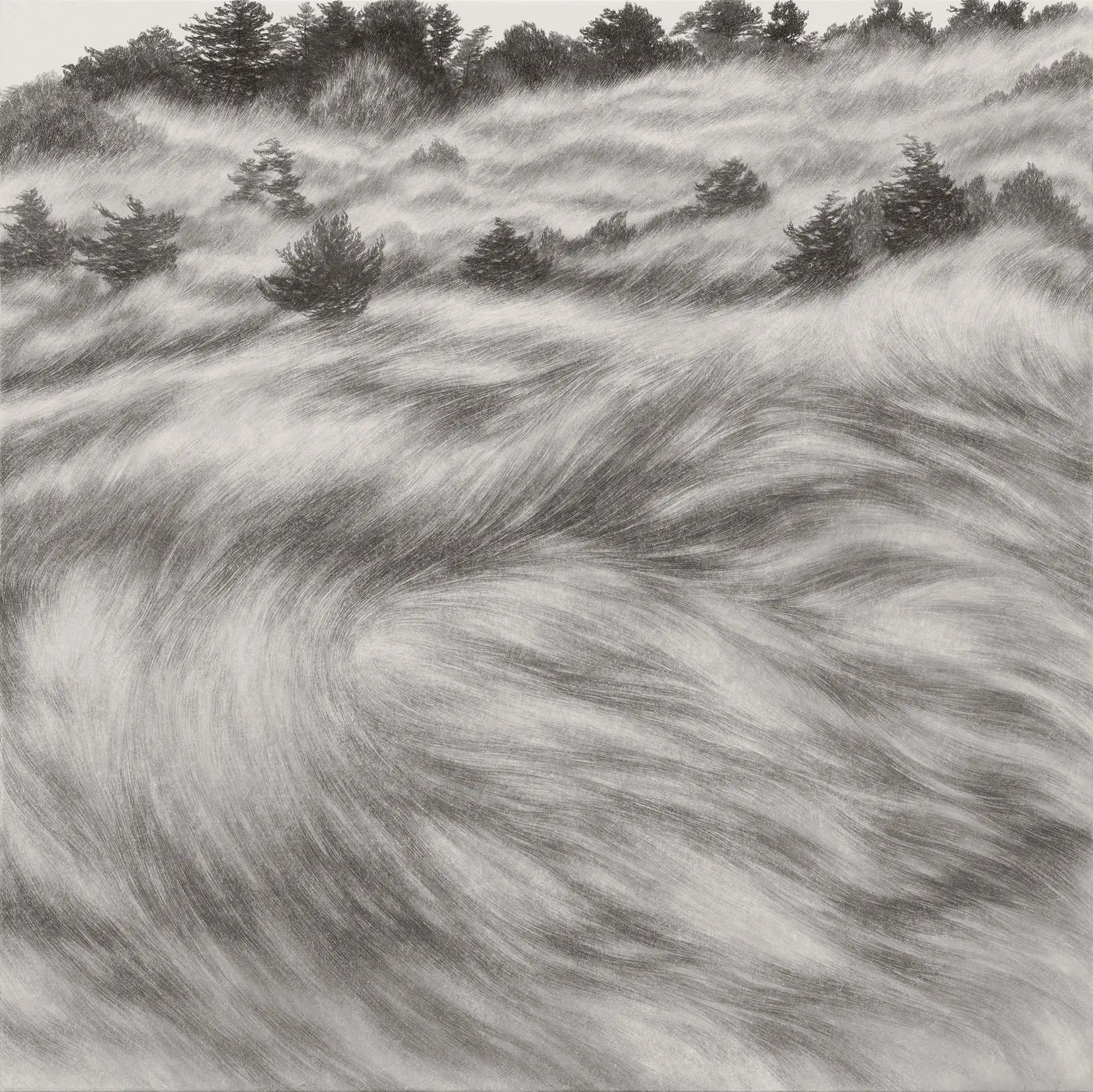 Waves of Silver Grass