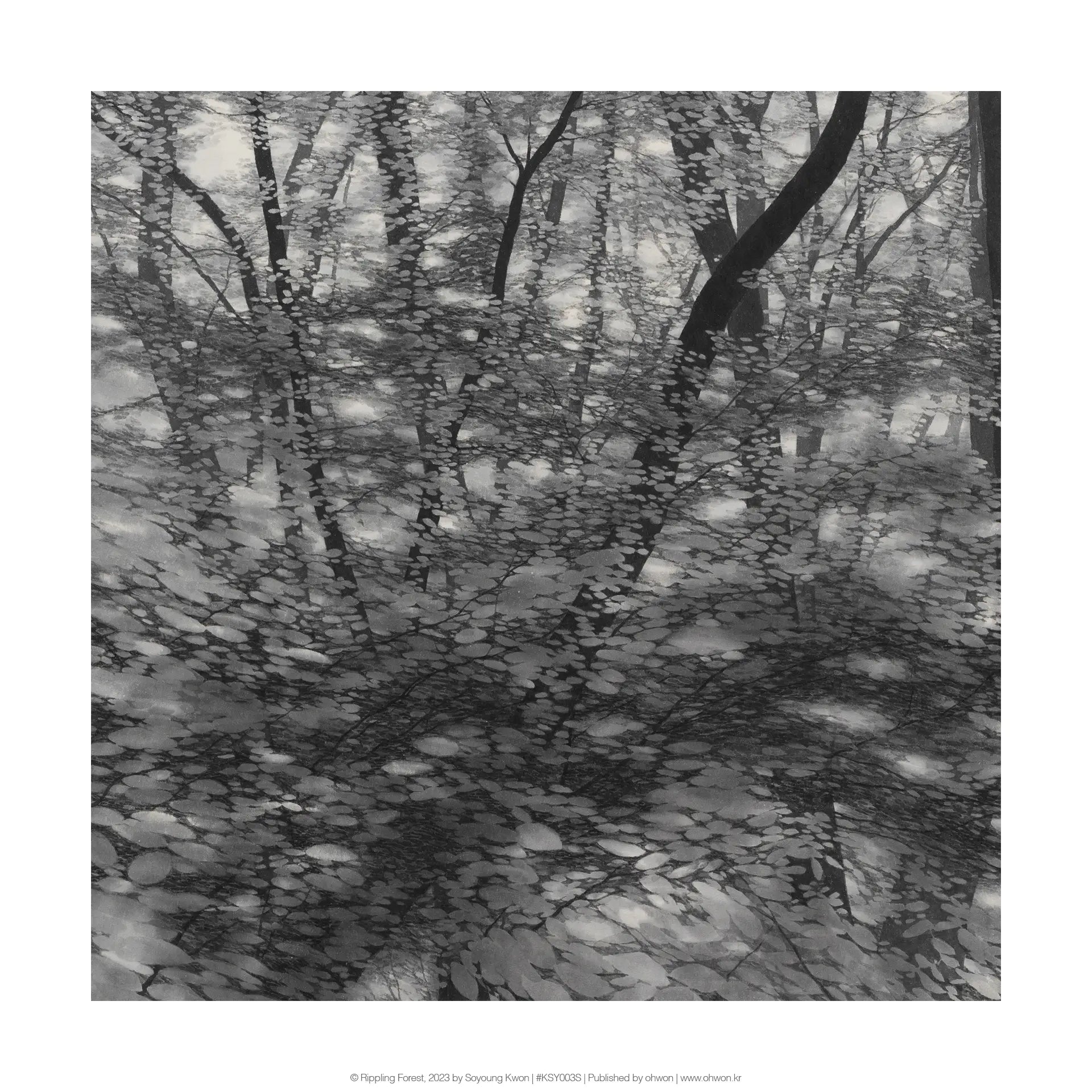 Rippling Forest