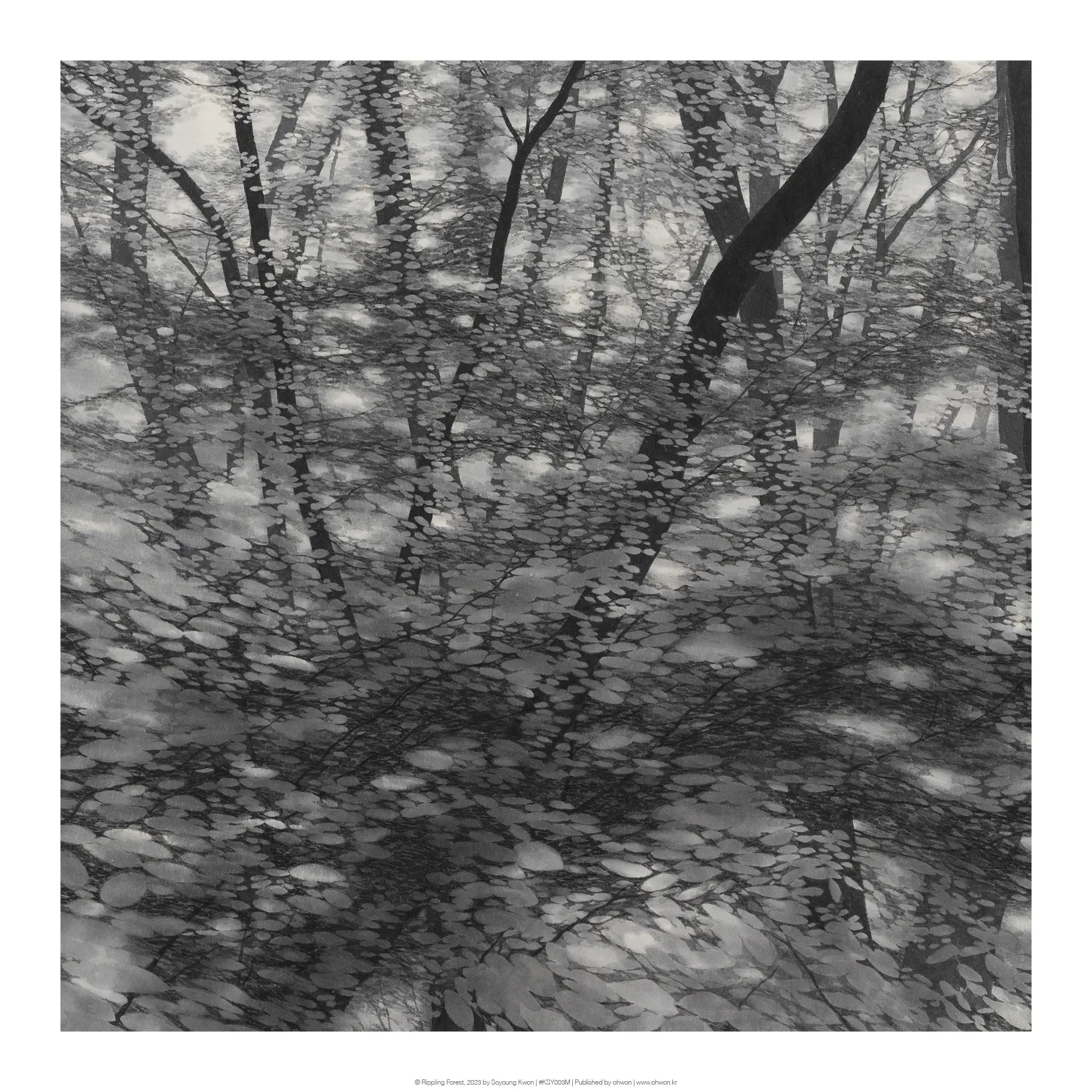 Rippling Forest