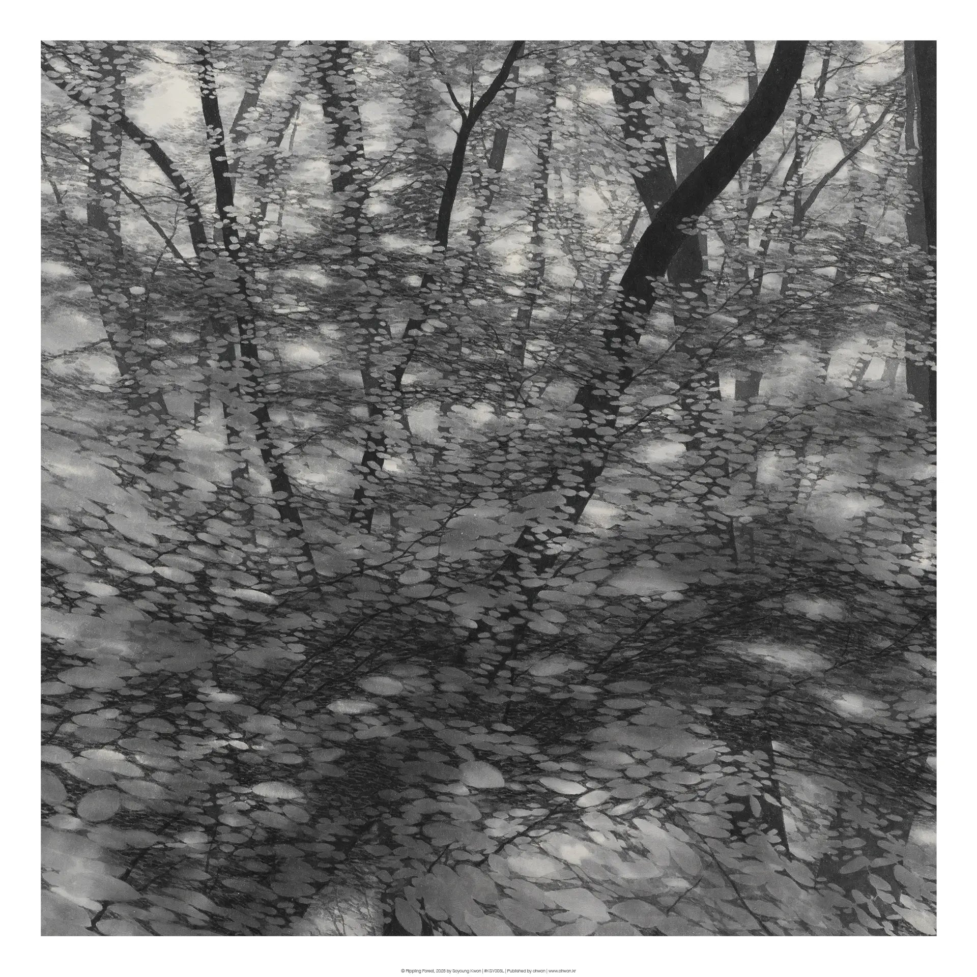 Rippling Forest