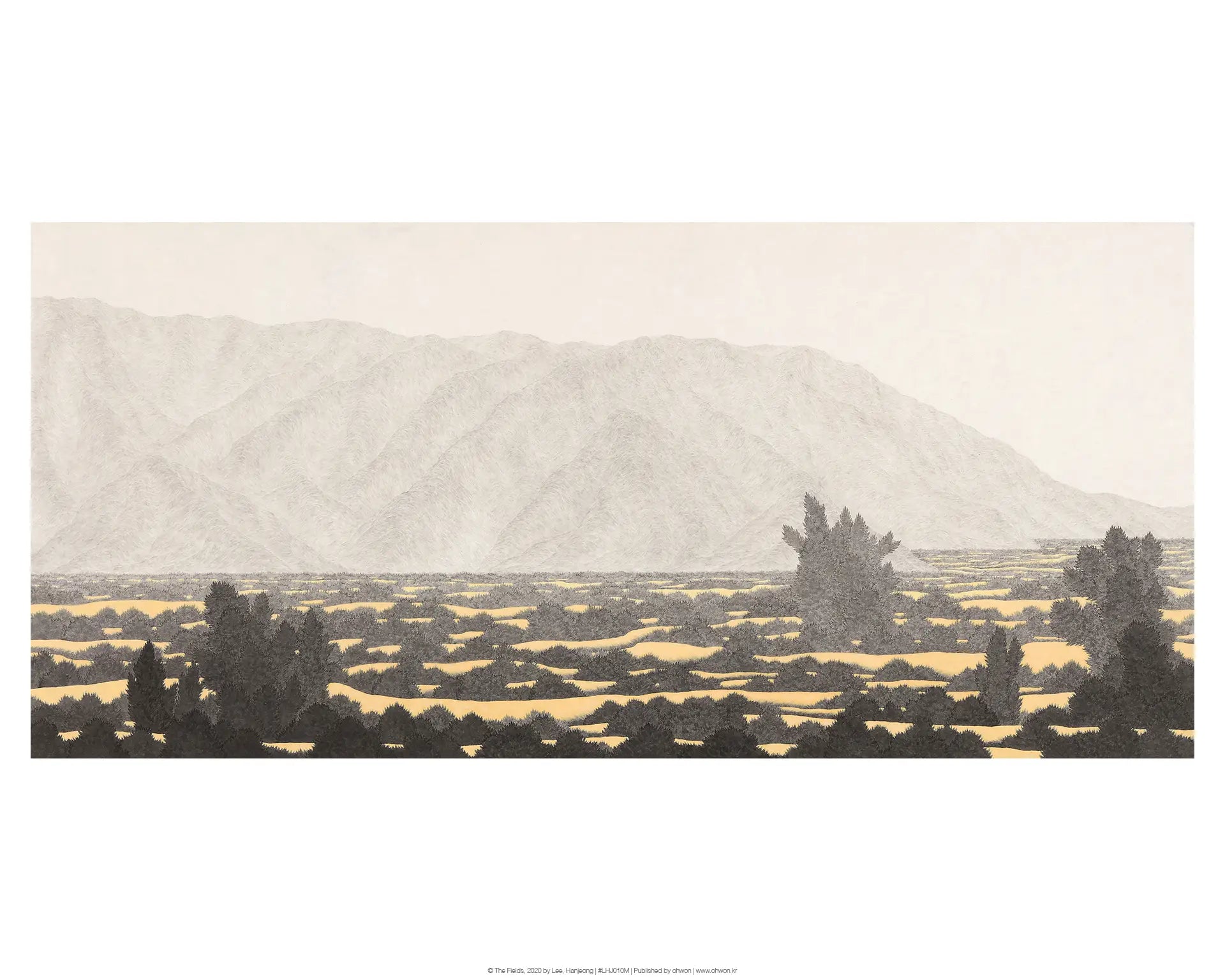 The Fields