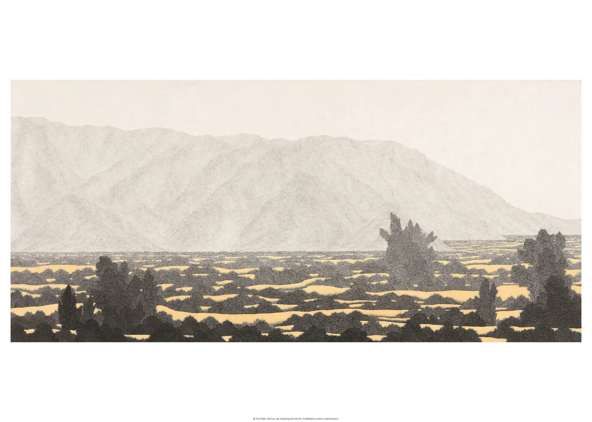 The Fields