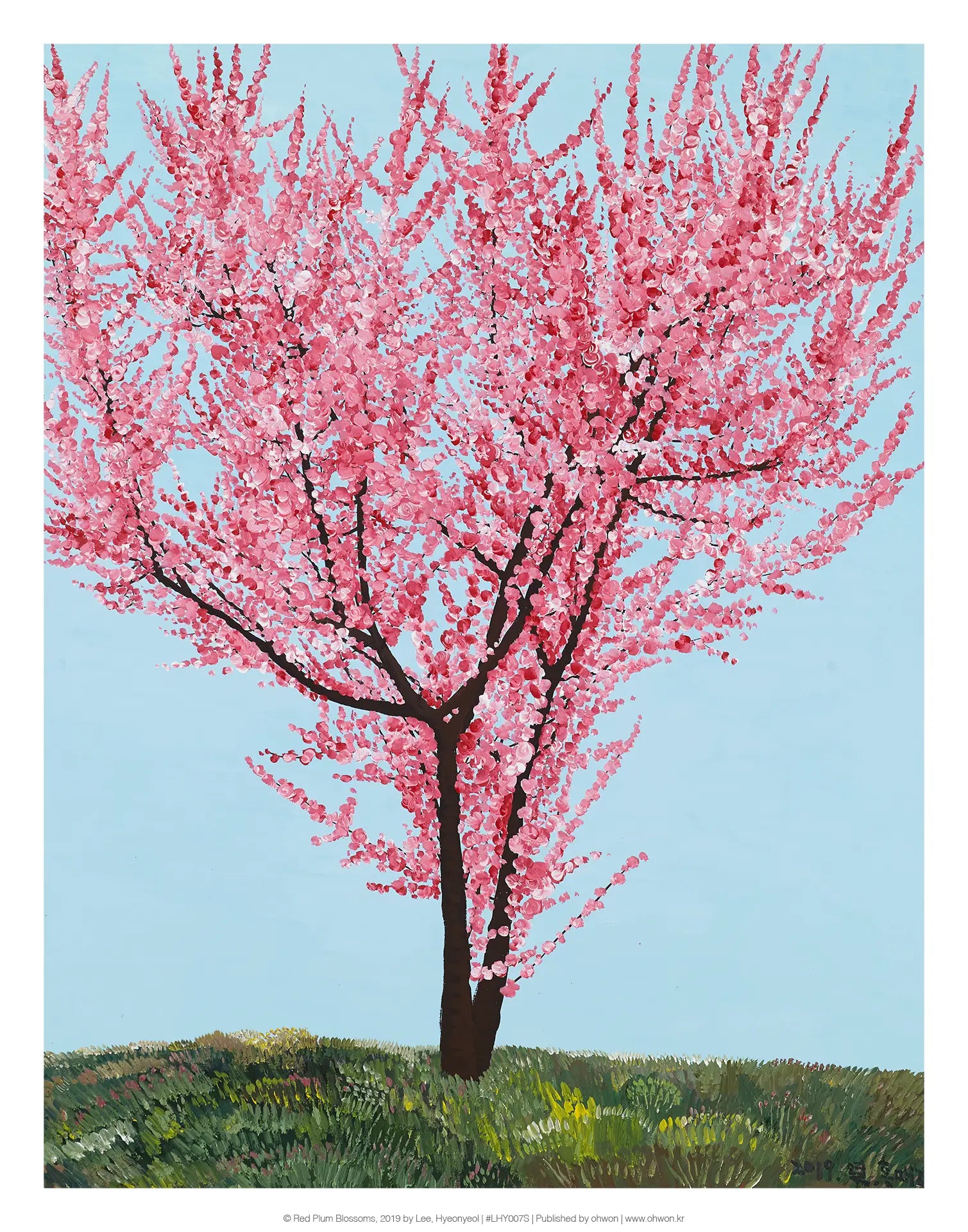 Red Plum Blossoms