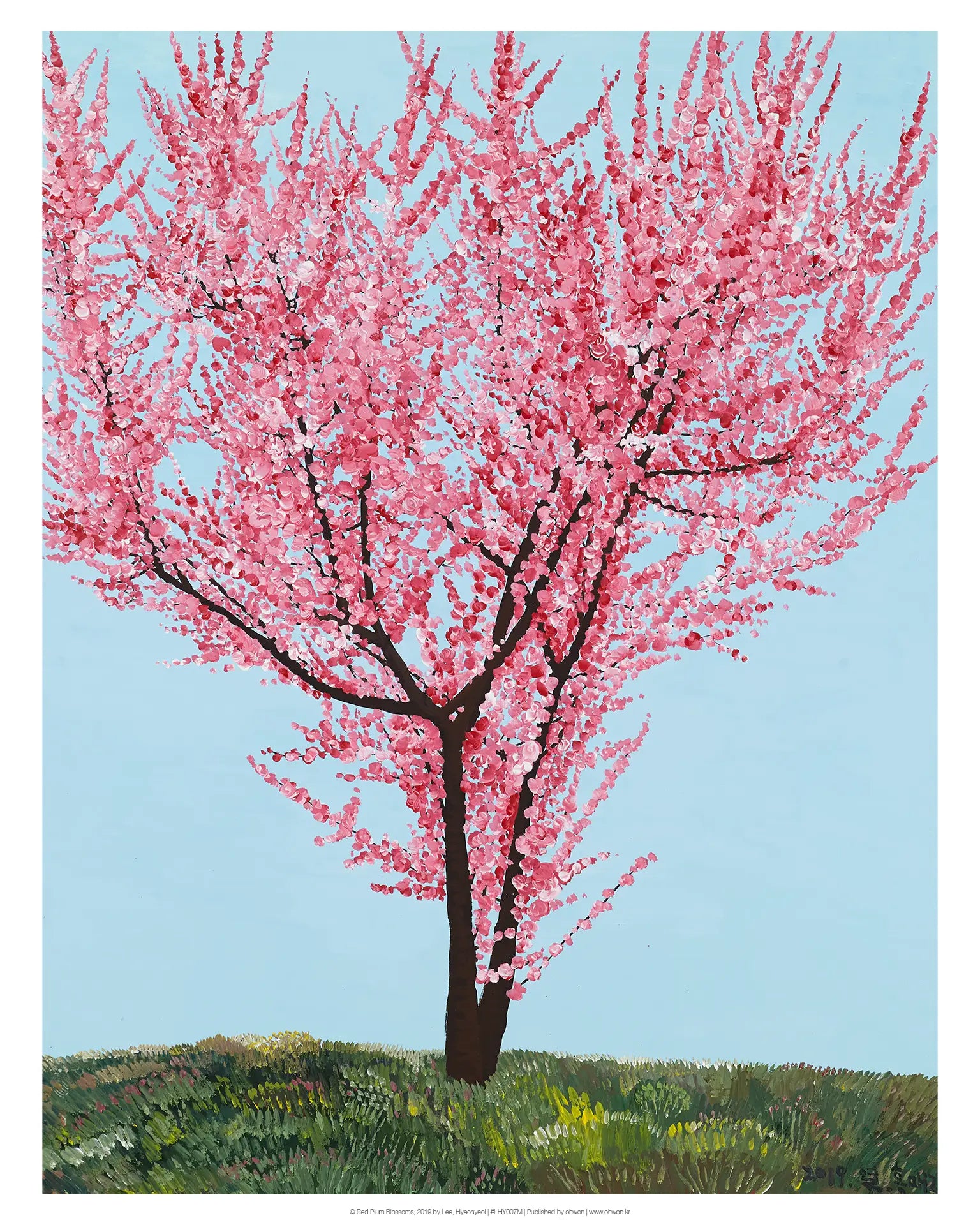 Red Plum Blossoms