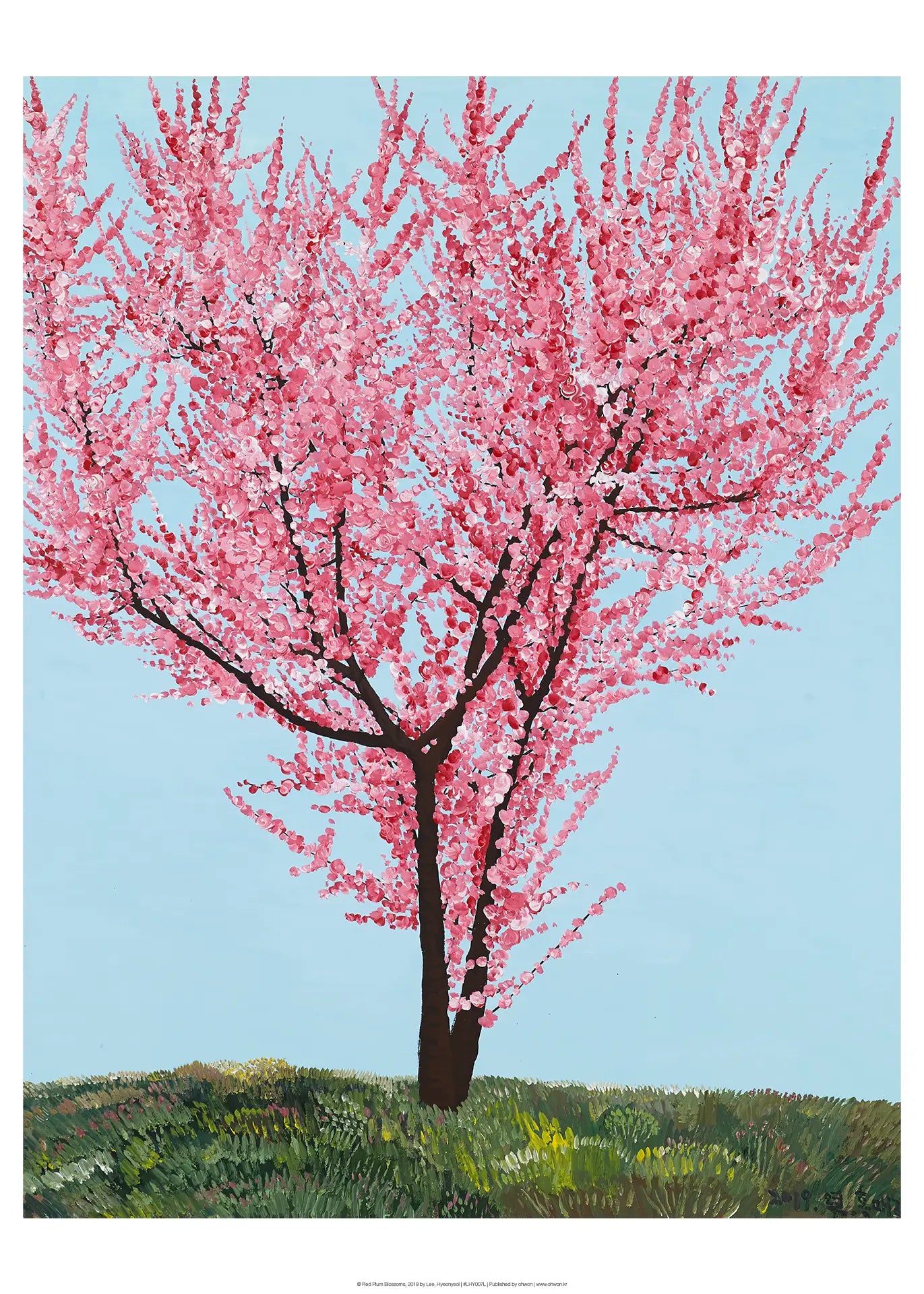 Red Plum Blossoms
