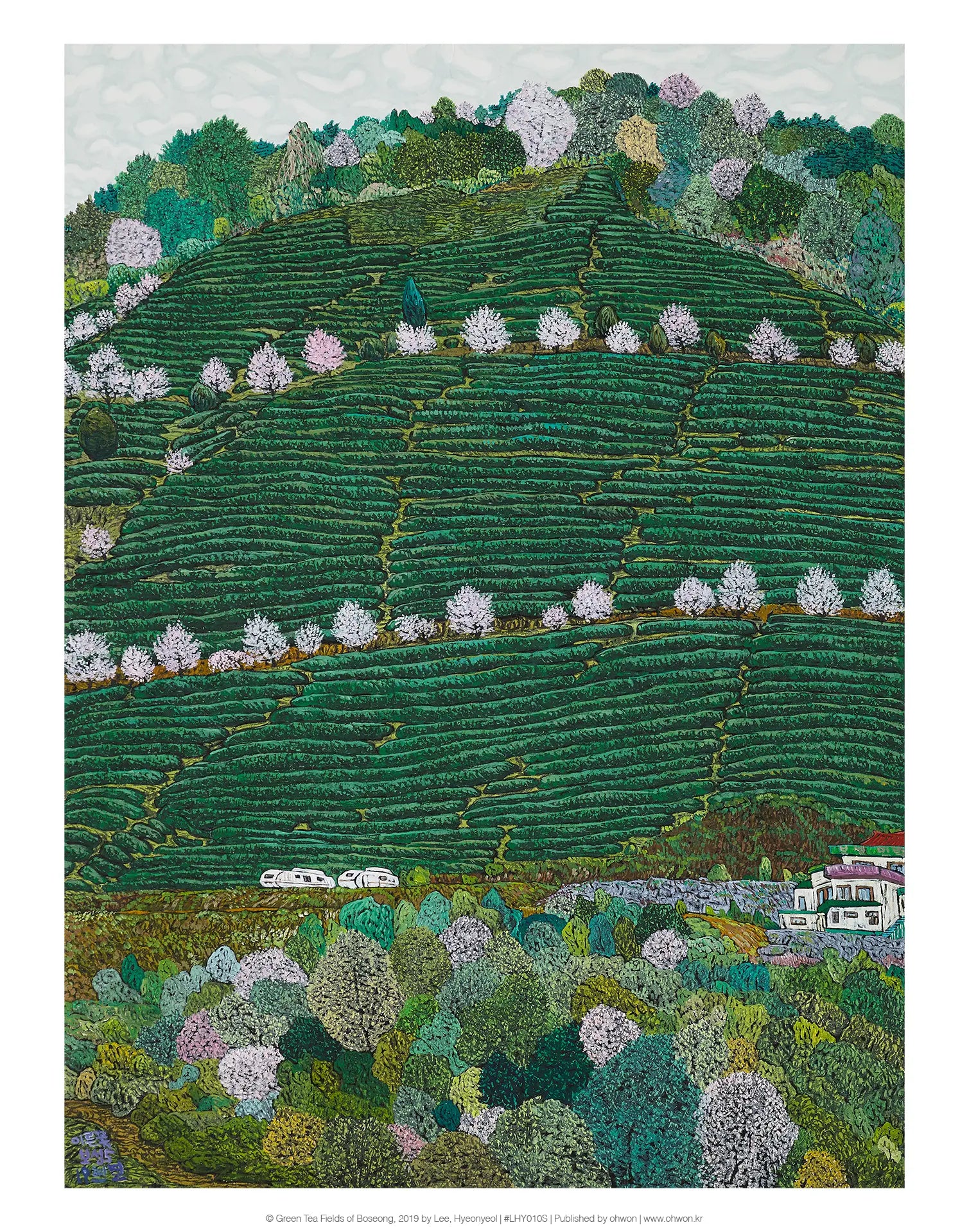 Green Tea Fields of Boseong