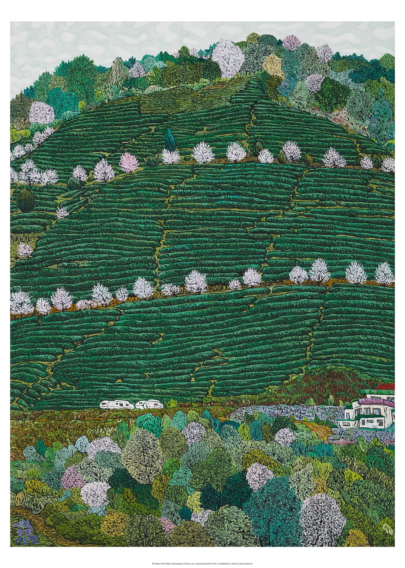 Green Tea Fields of Boseong