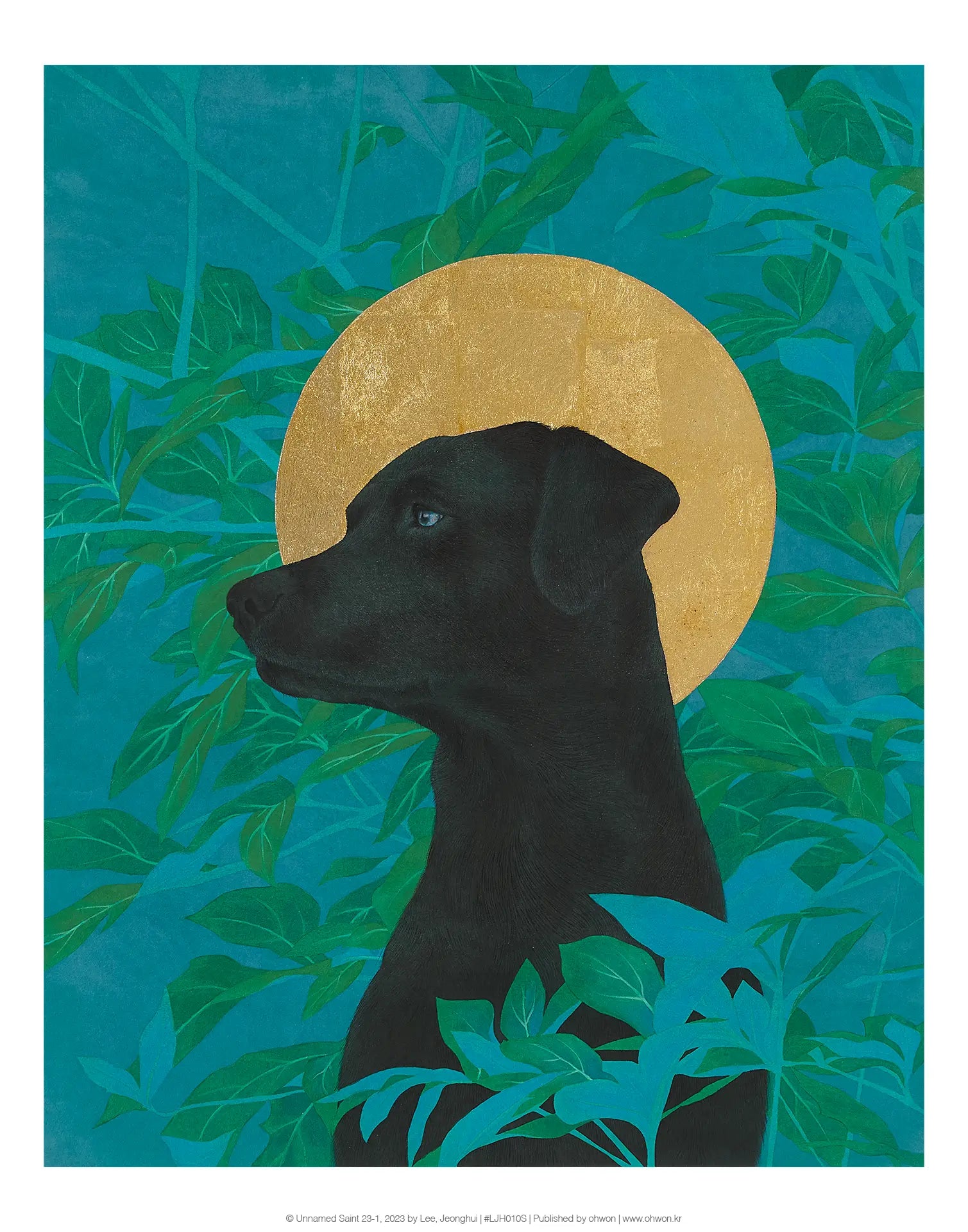 Unnamed Saint 23-1