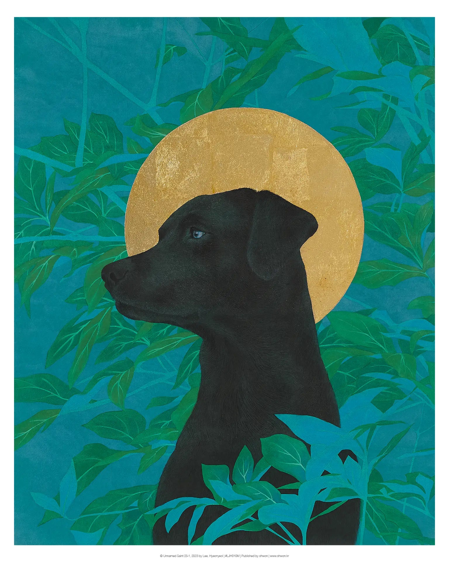 Unnamed Saint 23-1