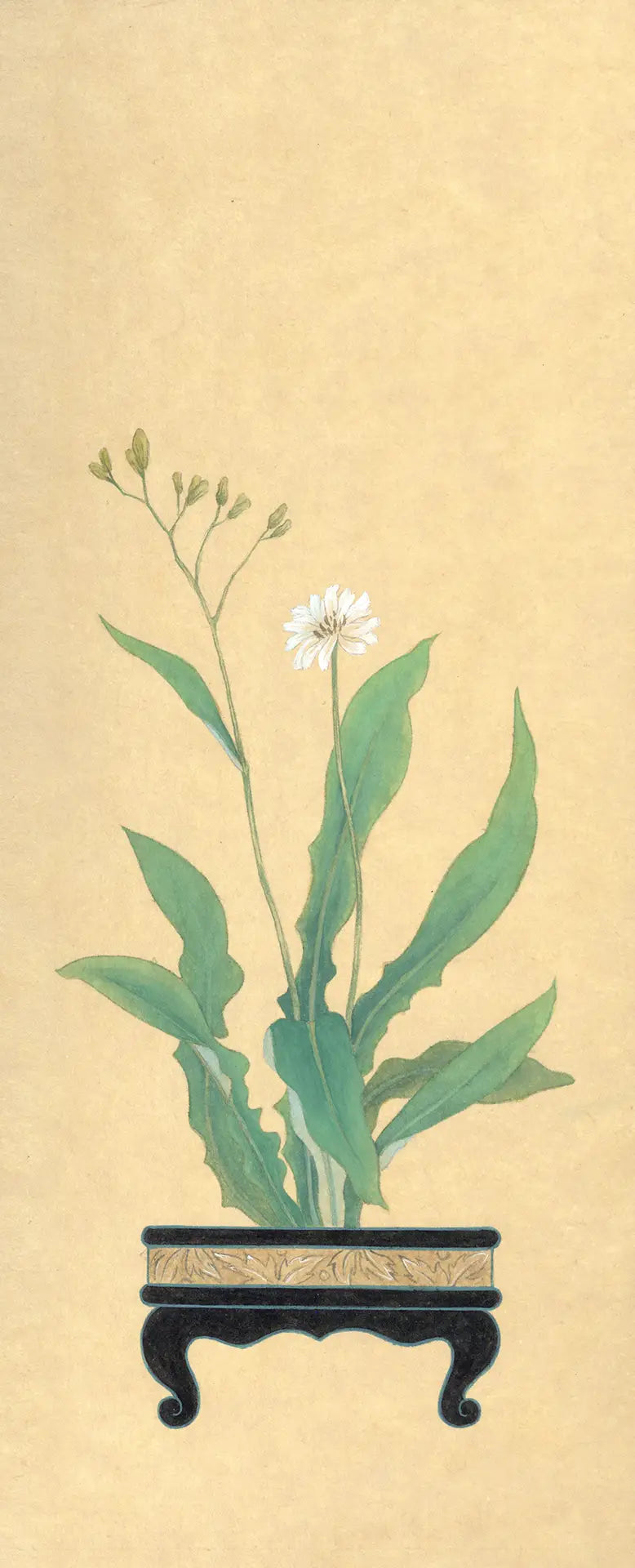 Unwanted Weeds III