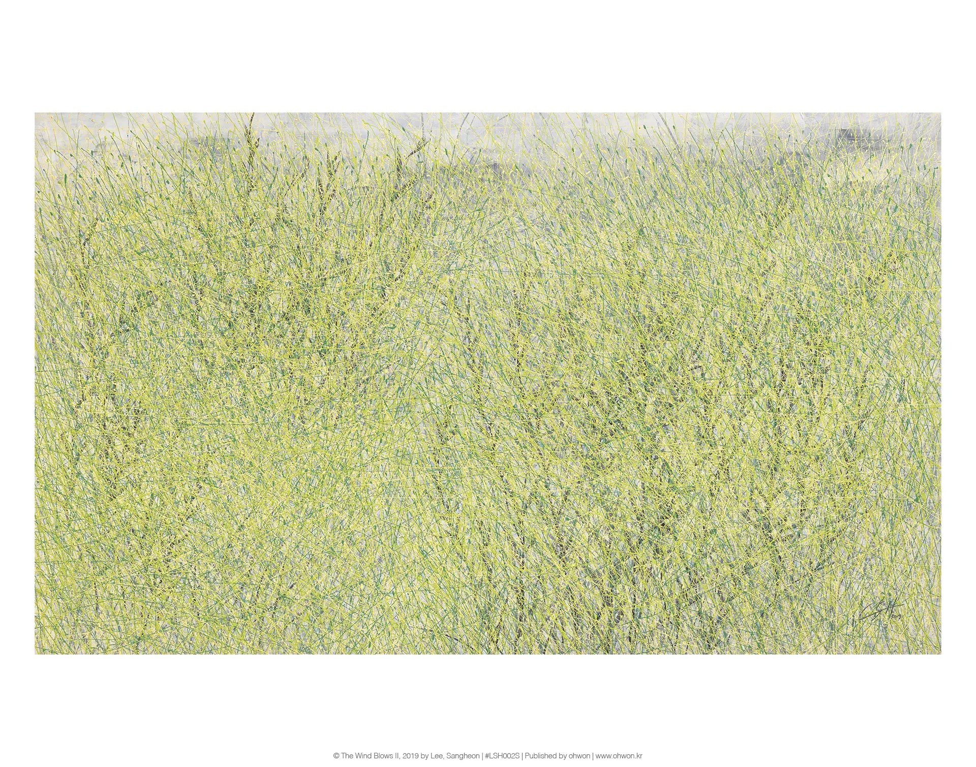 The Wind Blows II