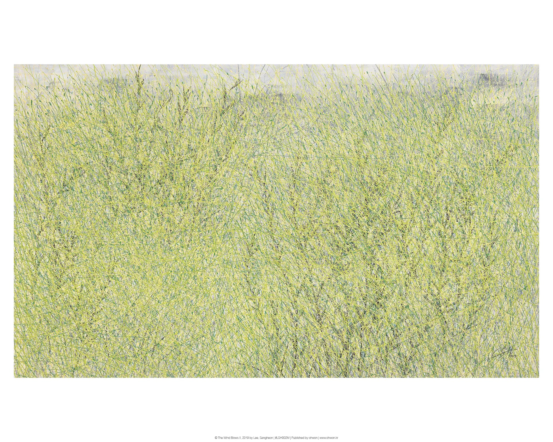 The Wind Blows II