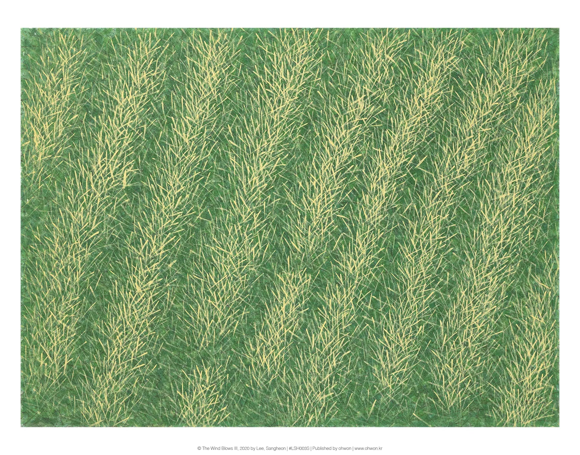 The Wind Blows III