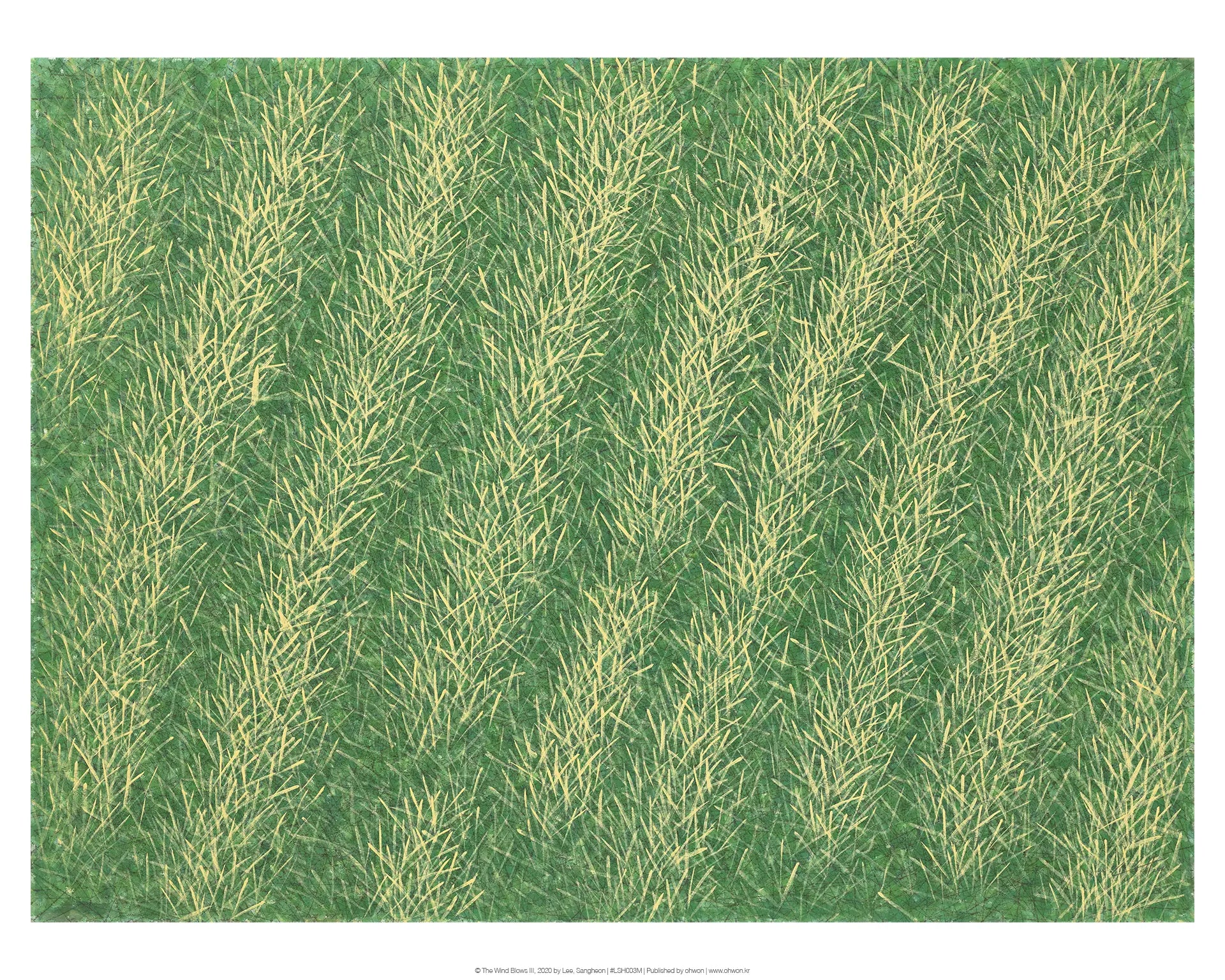 The Wind Blows III