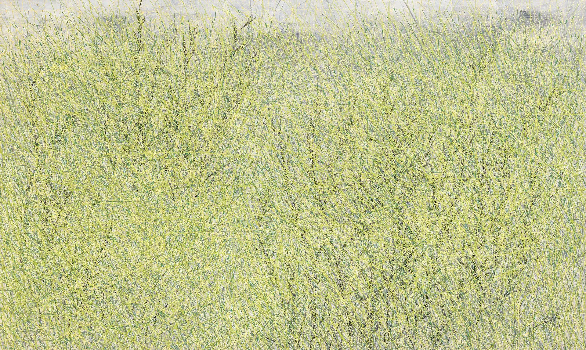 The Wind Blows II