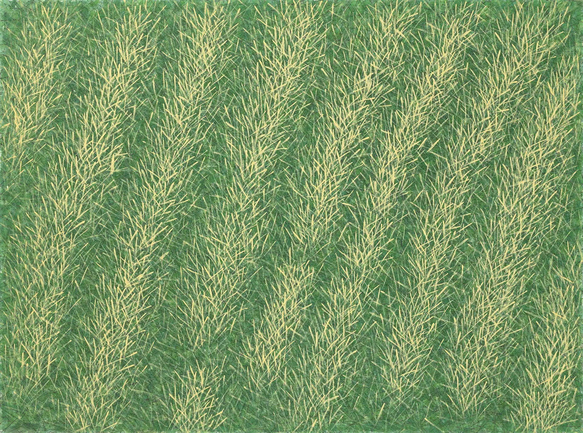 The Wind Blows III