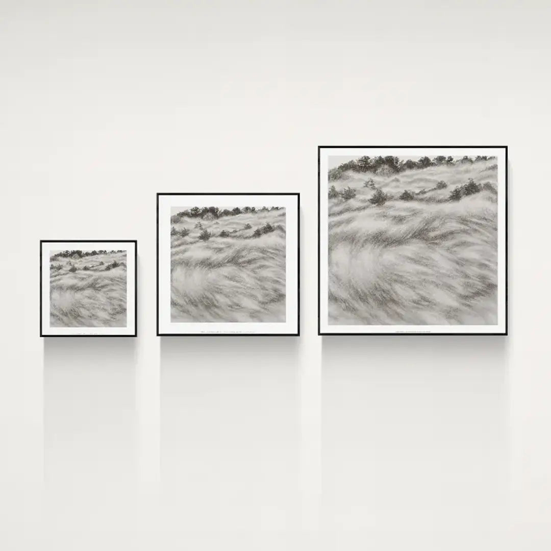 Waves of Silver Grass