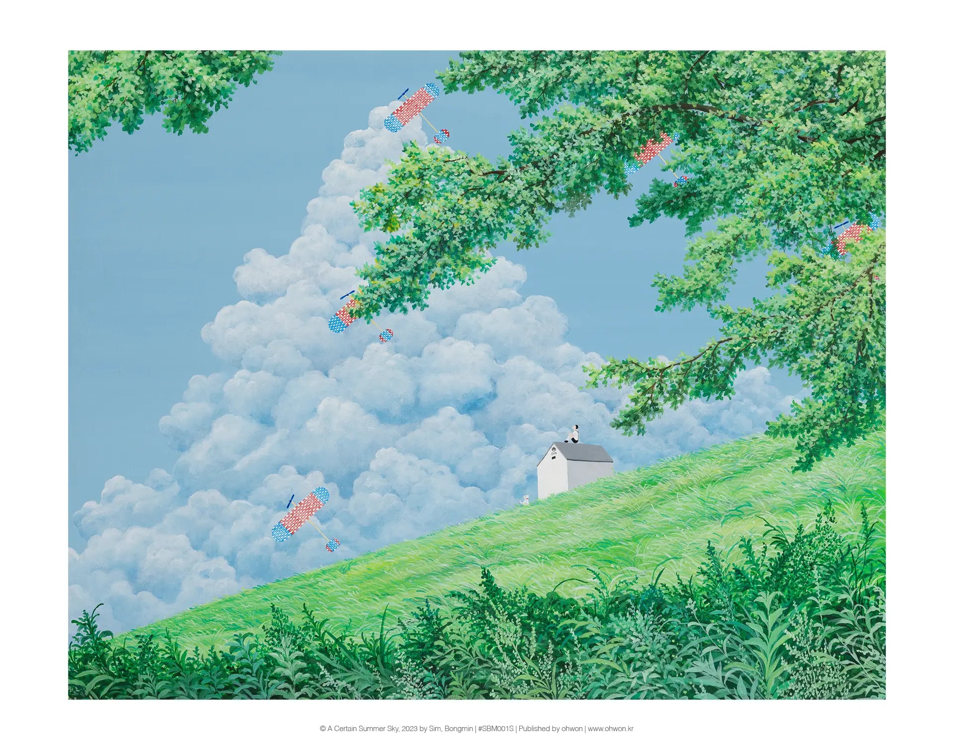 A Certain Summer Sky