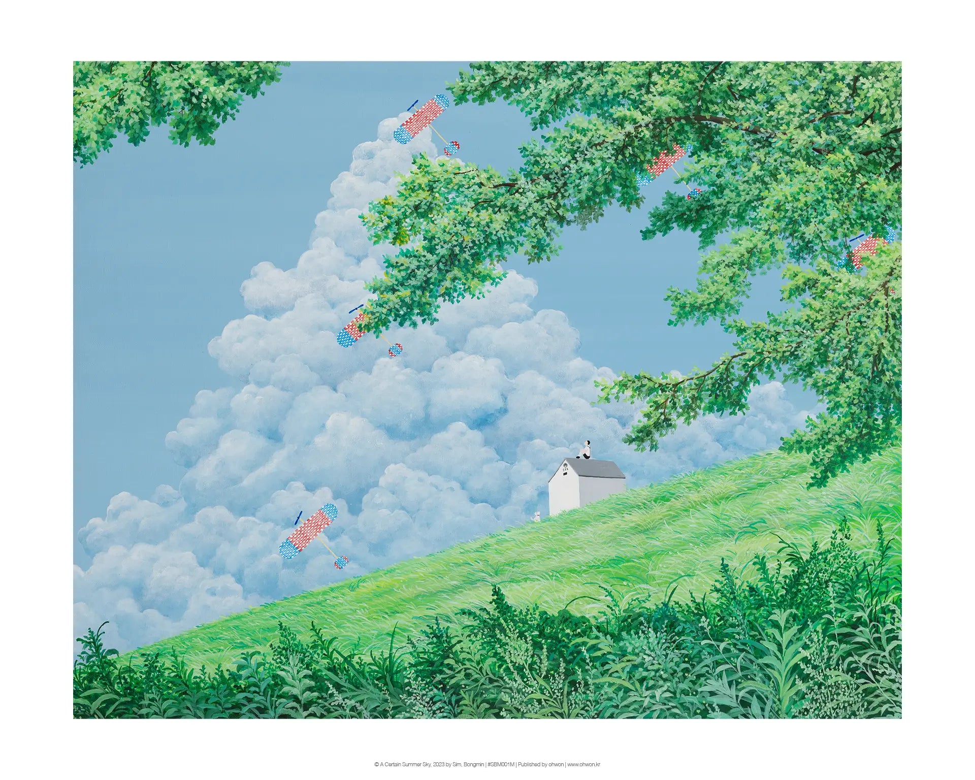A Certain Summer Sky