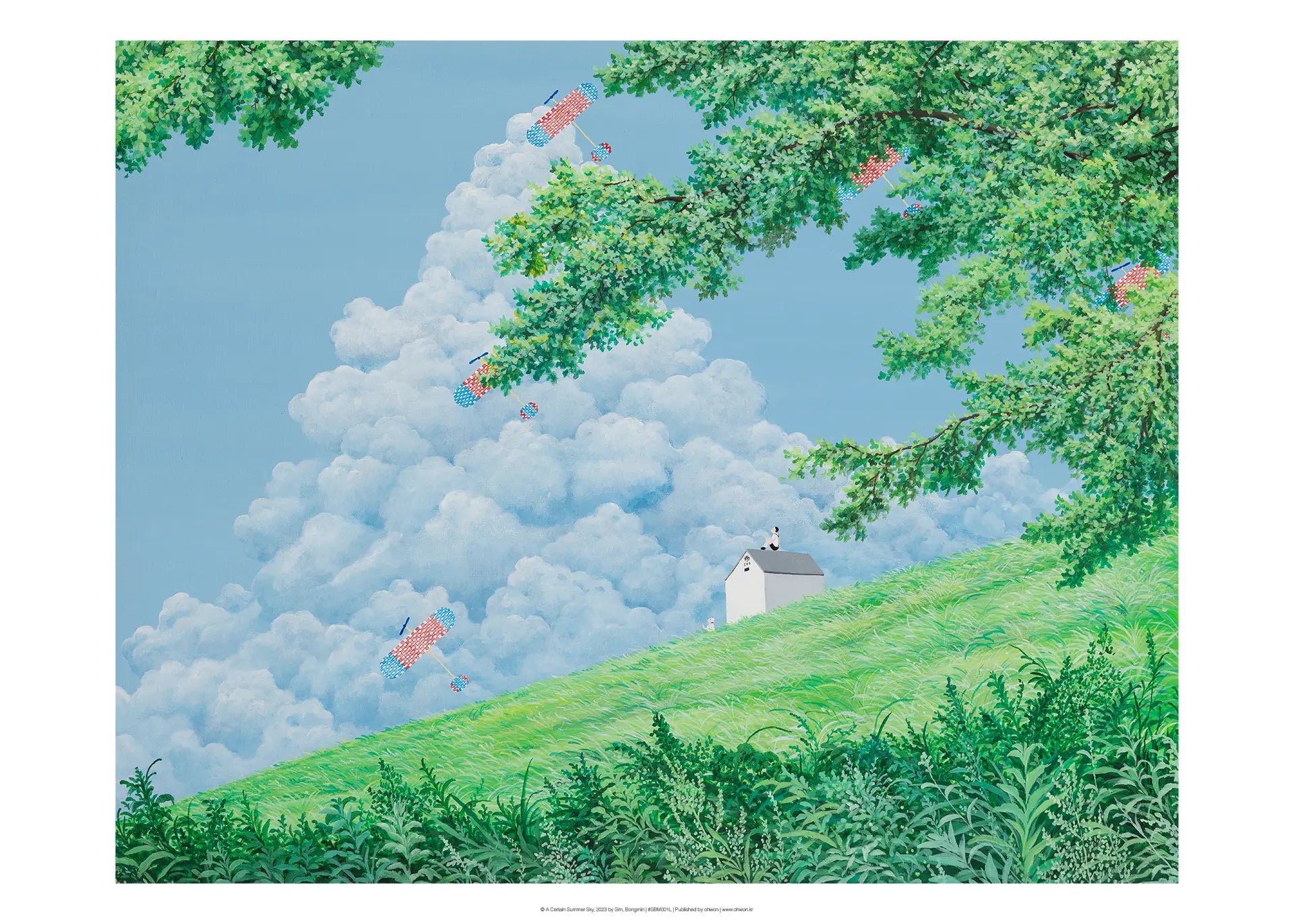 A Certain Summer Sky