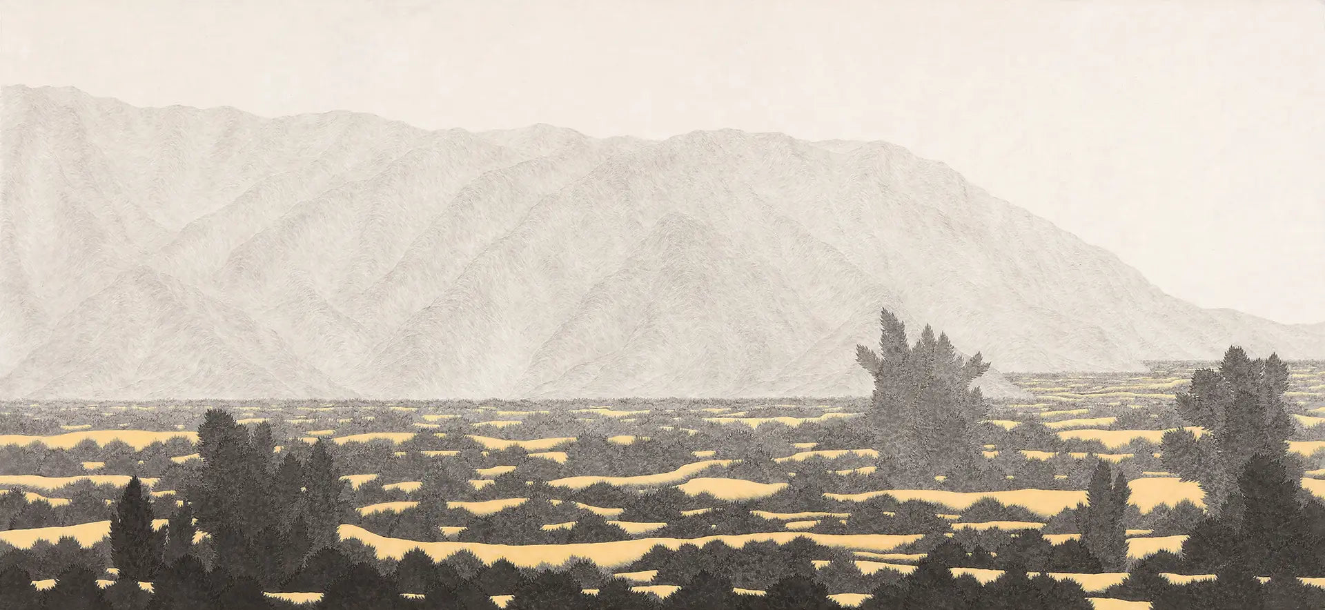 The Fields