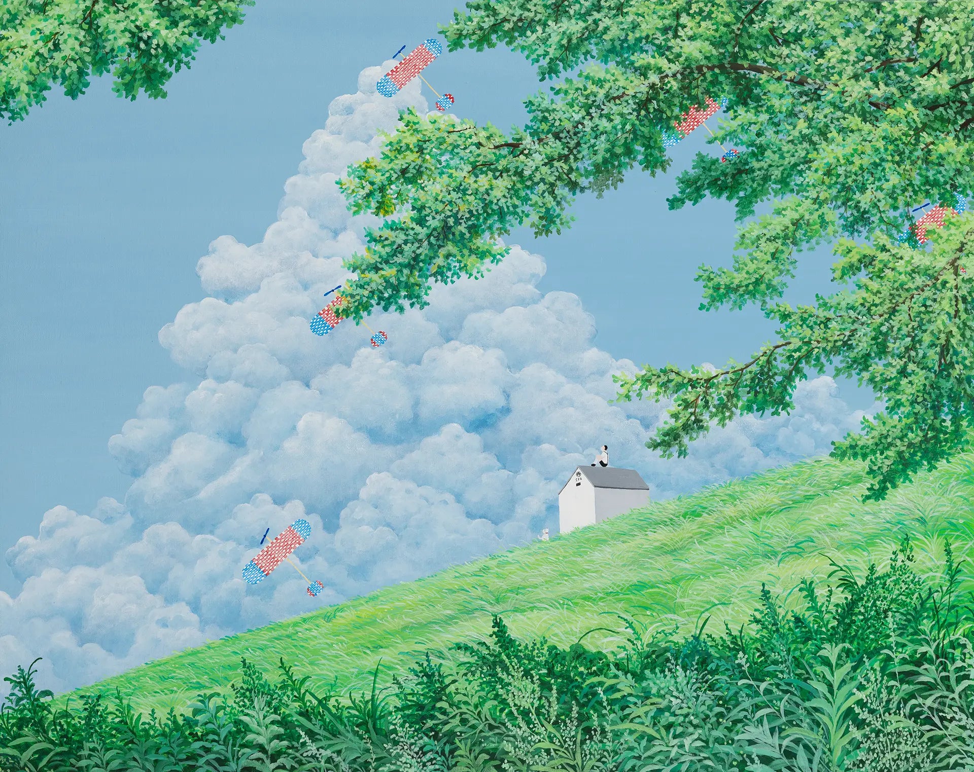 A Certain Summer Sky