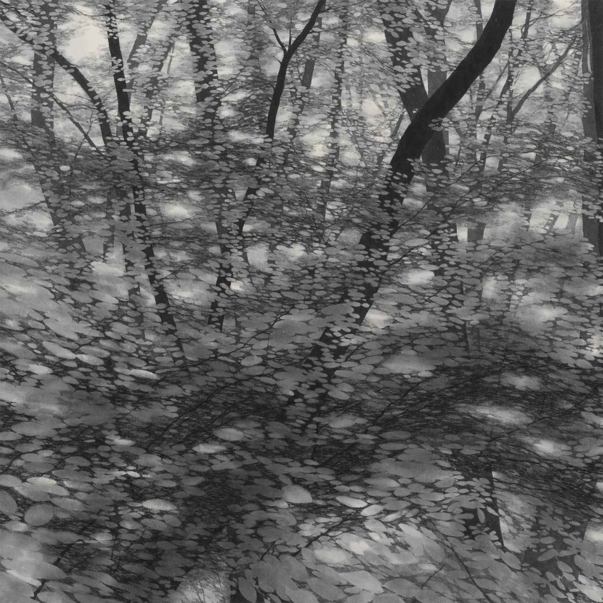 Rippling Forest