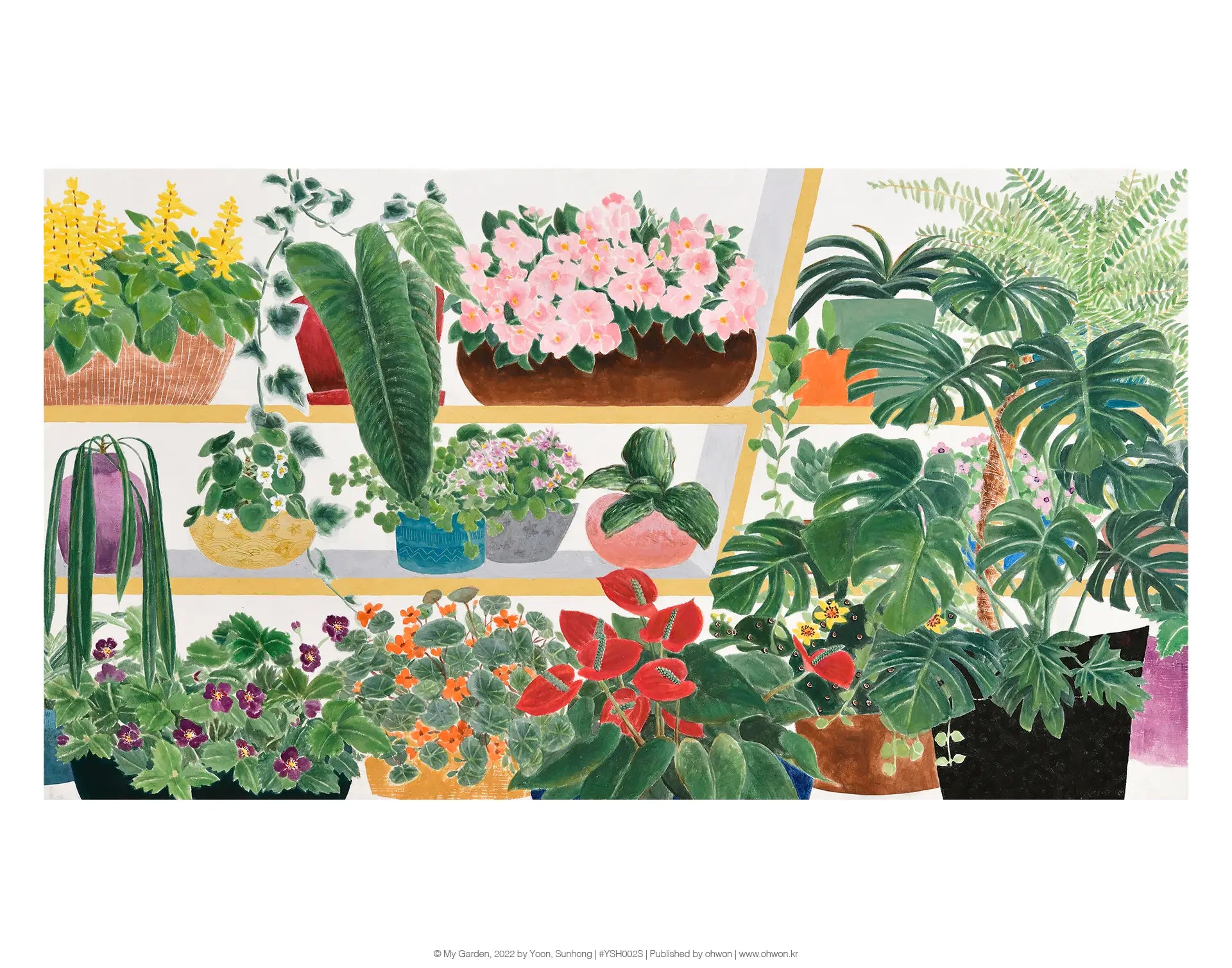 My Garden