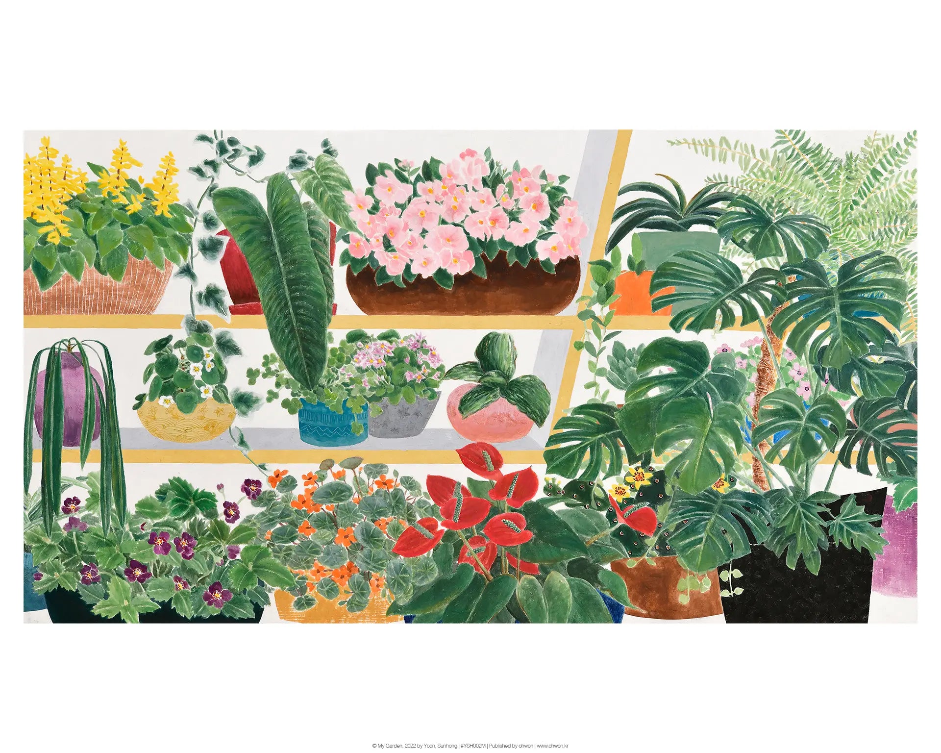 My Garden