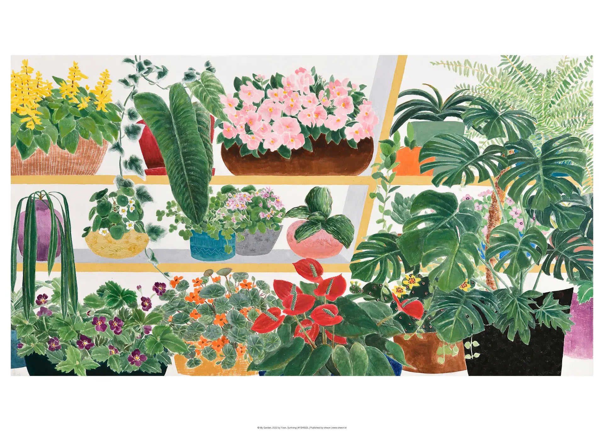 My Garden