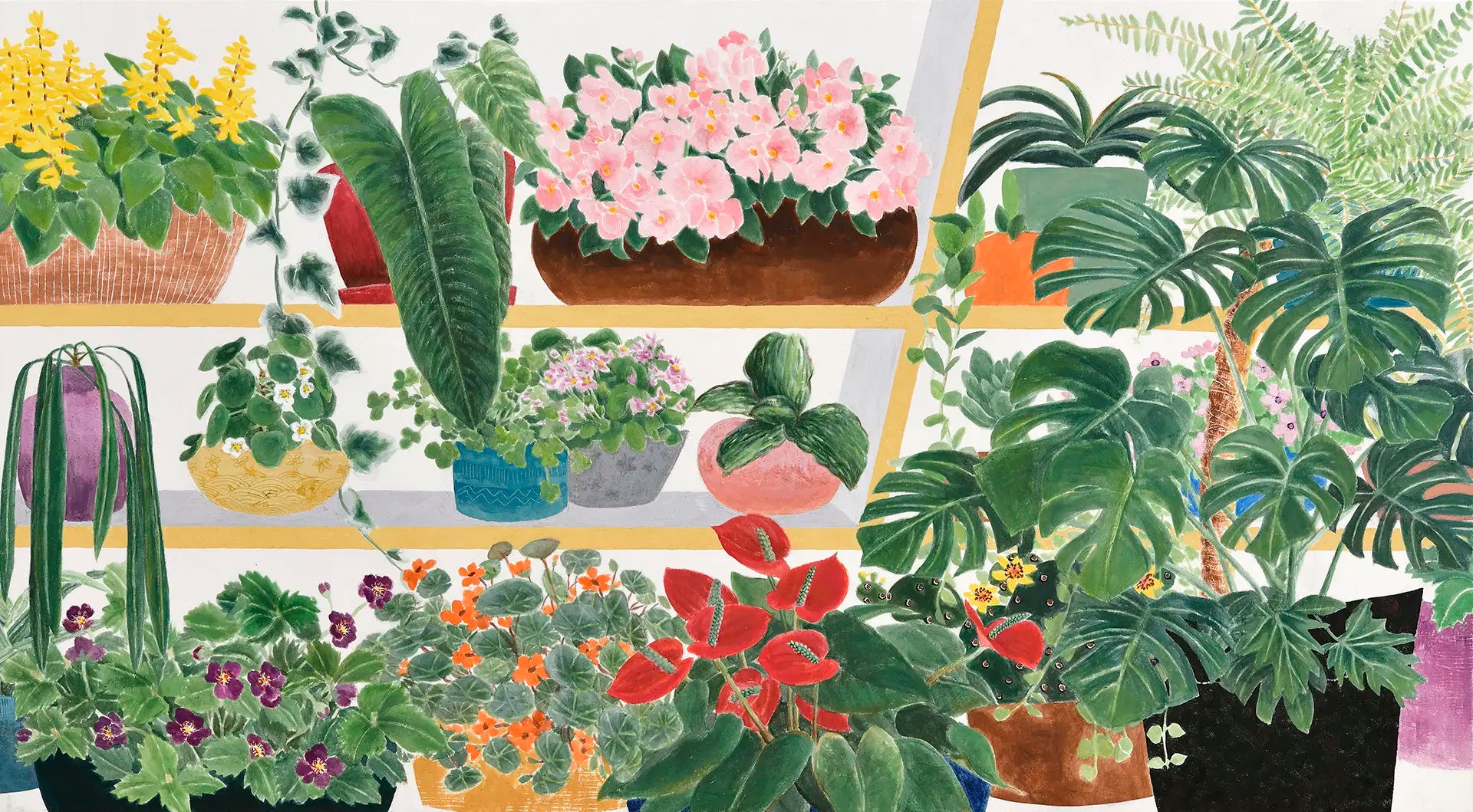 My Garden